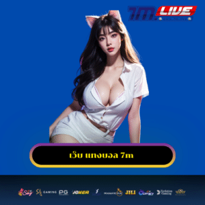 เว็บ แทงบอล 7m
